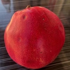 Tüplü Red Bang Kırmızı Elma Ayvası Fidanı Koleksiyonluk