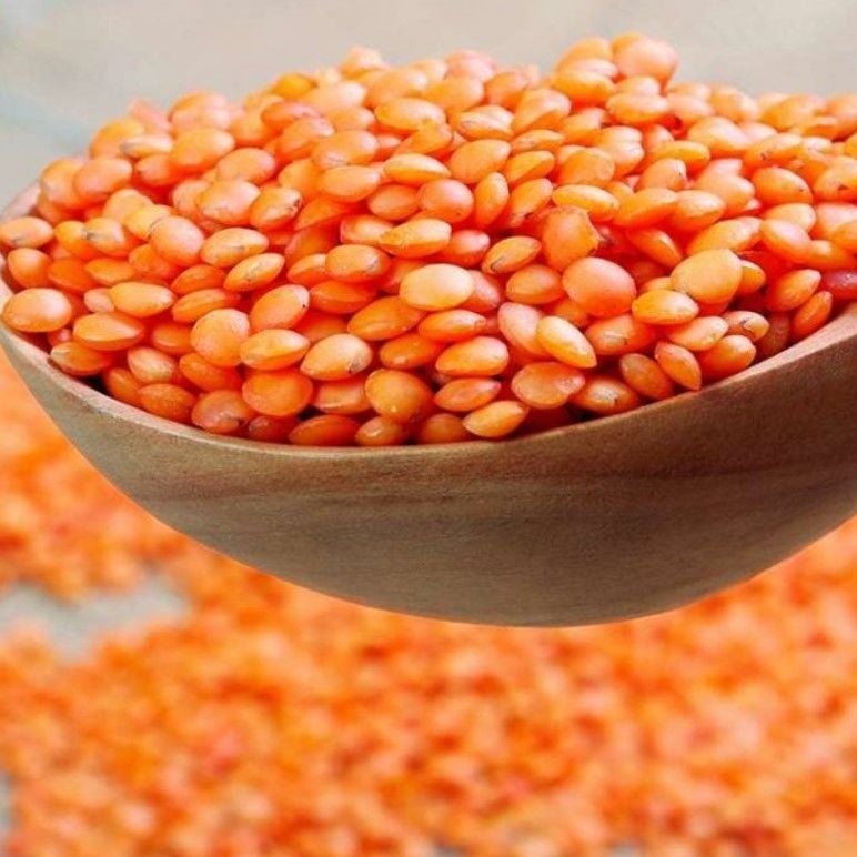 Doğal Geleneksel Kırmızı Mercimek Tohumu (20 Tohum