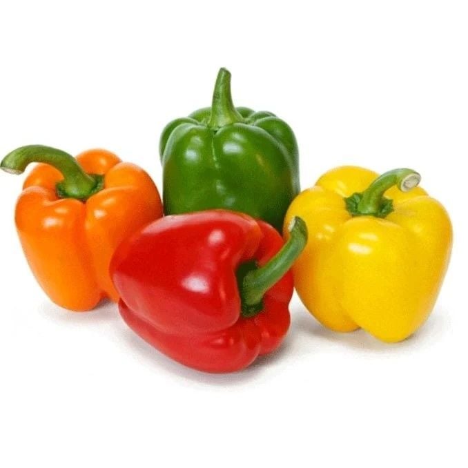Aromalı Etli Tatlı Mixed Kaliforniya Dolmalık Biber Fidesi (4 adet)