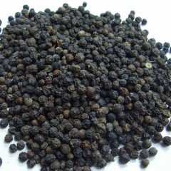 Siyah Karabiber Tohumu (20 tohum)