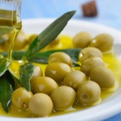 Tüplü Çil Topak Tavşan Yüreği Zeytin Fidanı