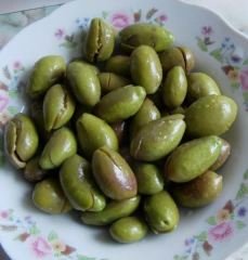 Tüplü Aşılı İri Taneli Kırmalık Çekişte Zeytin Fidanı