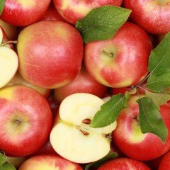 Tüplü Aşılı Yarıbodur Aromatik Kokulu Amasya Misket Elma Fidanı