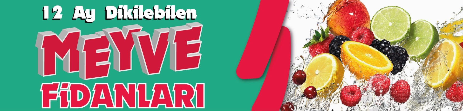 Tüplü Meyve Fidanları