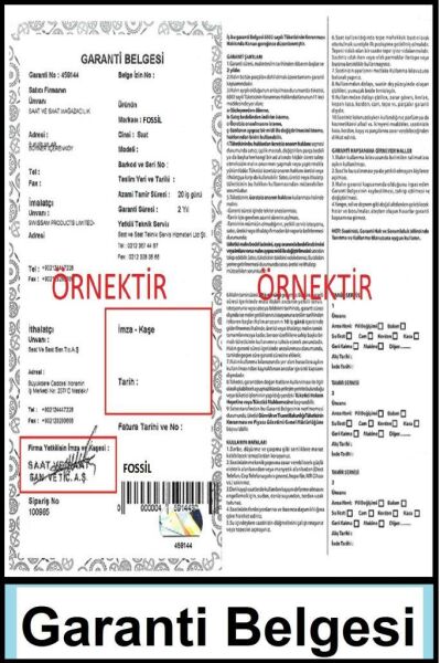 Fossil FBQ3831 Kadın Kol Saati