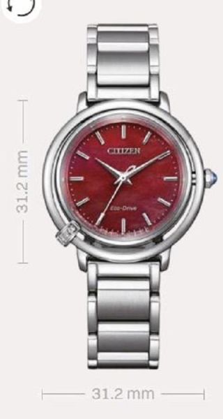 Citizen  EM1090-78X Eco-Drive Kadın Kol Saati