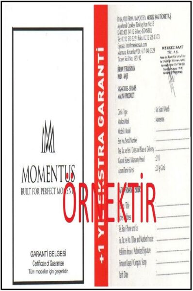 Momentus TC250G-02SG Kadın Kol Saati