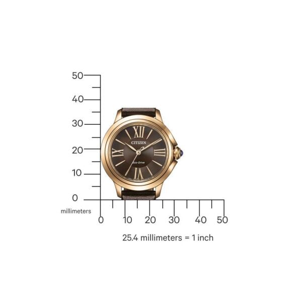 Citizen EM1163-09X Eco-Drive Kadın Kol Saati