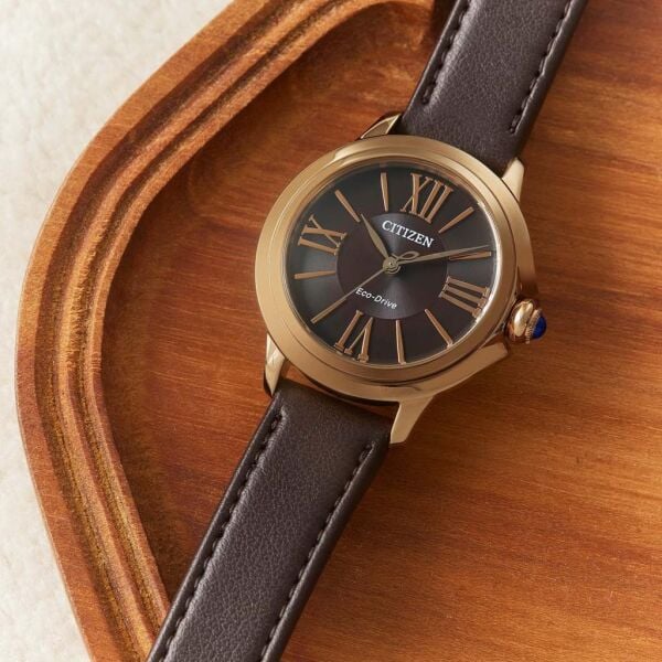 Citizen EM1163-09X Eco-Drive Kadın Kol Saati