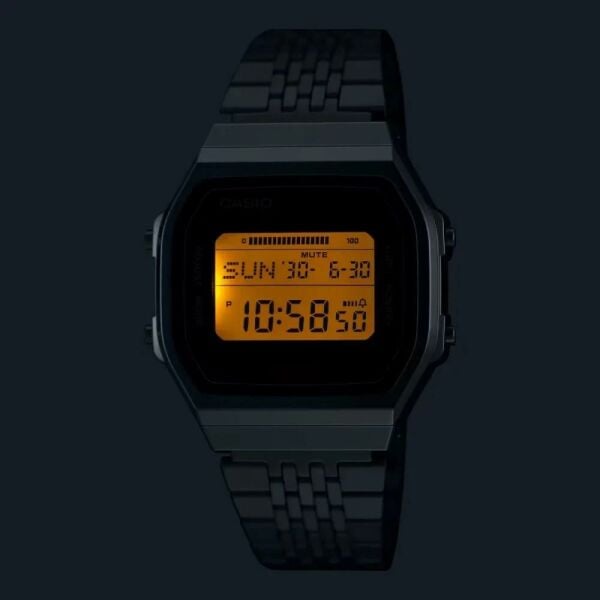 Casio ABL-100WEGG-1BDF Adımsayar Bluetooth Unisex Kol Saati