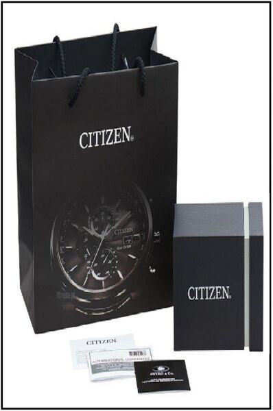 Citizen FE1243-83A  Kadın Kol Saati