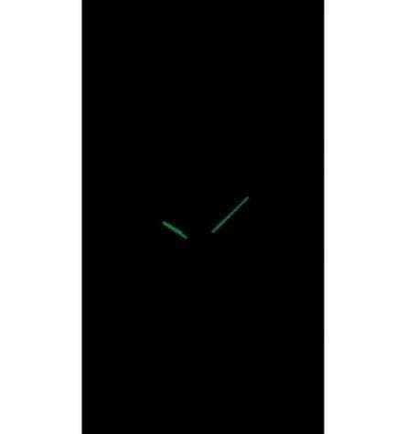 Casio MTP-1370L-1AVDF Erkek Kol Saati