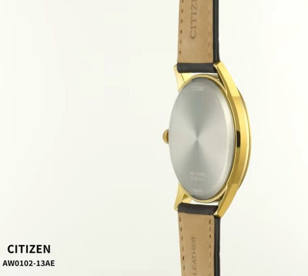 Citizen AW0102-13AE Eco-Drive Erkek Kol Saati