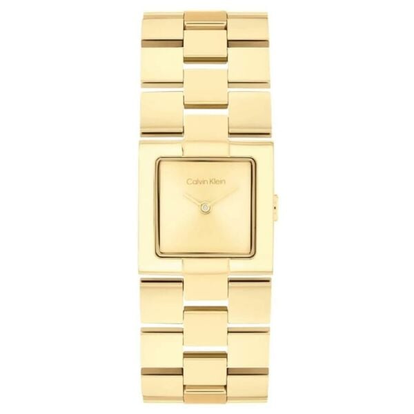 Calvin Klein CK25100089 Kadın Kol Saati