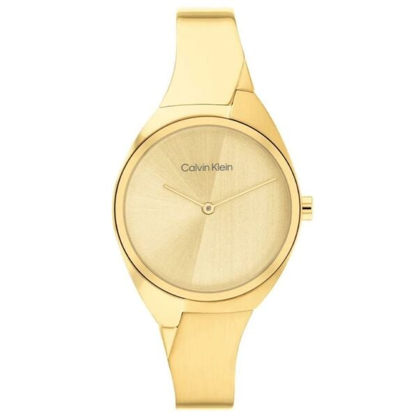 Calvin Klein CK25200235 Kadın Kol Saati