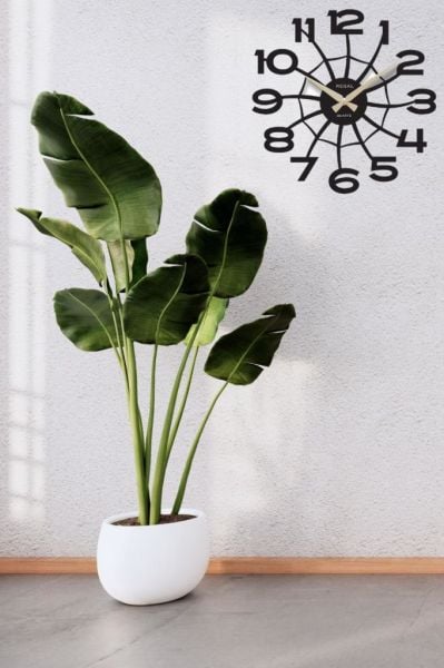 Regal Ultima 1158 B Örümcek Ağı Duvar Saati