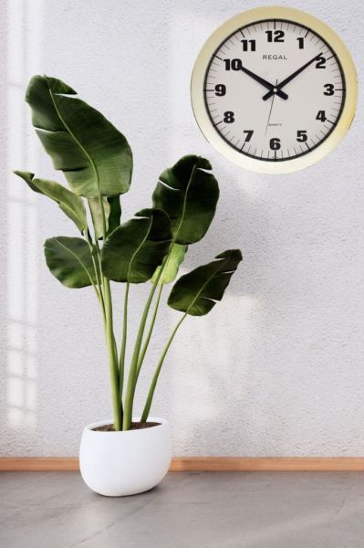 Regal Ultima 098 GI Duvar Saati