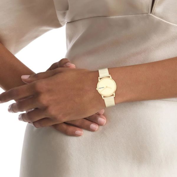 Calvin Klein CK25100035 Kadın Kol Saati