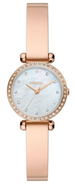 Fossil FBQ3894 Kadın Kol Saati
