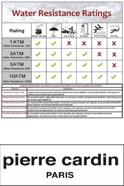Pierre Cardin 800102F101 Kadın Kol Saati