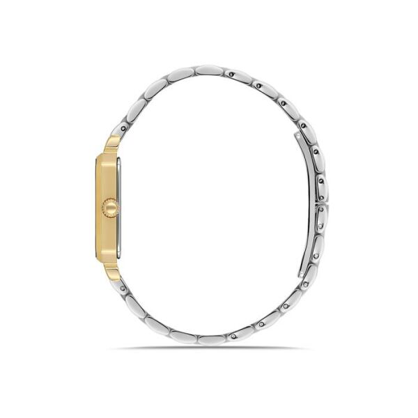 Momentus CS223T-02SG Kadın Kol Saati