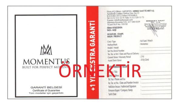 Momentus CC291S-04SS Erkek Kol Saati