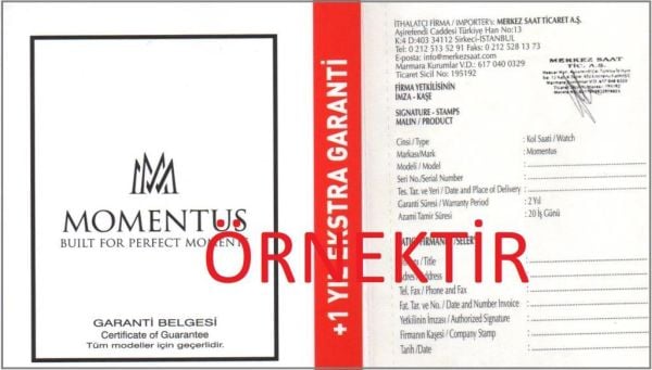 Momentus CW130T-08SG Kadın Kol Saati