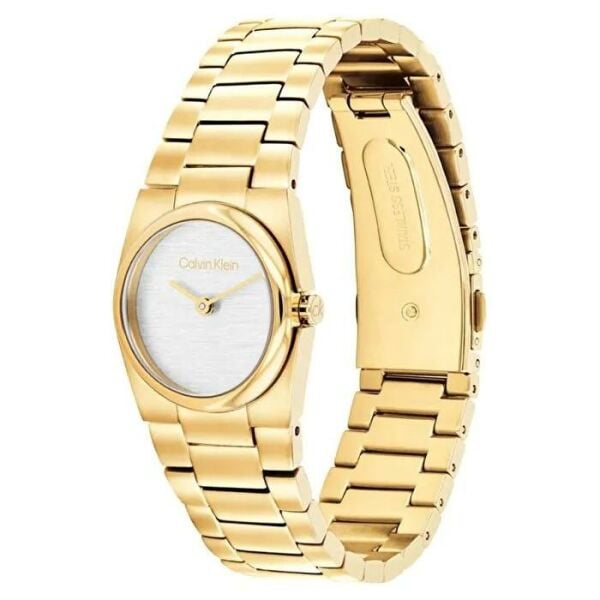 Calvin Klein CK25100122 Kadın Kol Saati