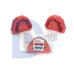 Fuji Endodontik Çene Üst 12'lik