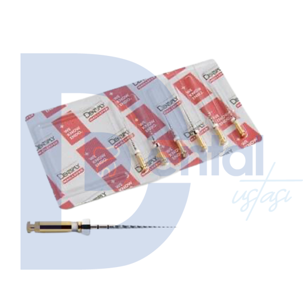 Dentsply Maillefer Pro Glider 6'lı 31 mm