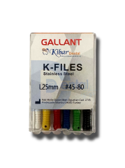 Gallant K-File Kanal Eğesi