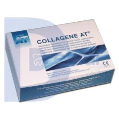 Collagene AT Membran 22*22 mm