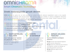 Tokuyama Dental Omnichroma Kompozit Dolgu