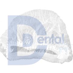Bone Büyük 100'lük