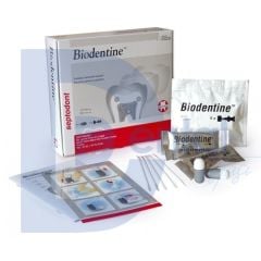 Septodont Biodentine Tamir Simanı