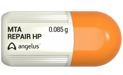 Angelus MTA HP Repair 2'lik