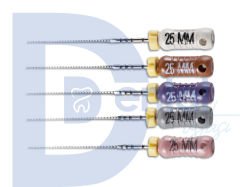 VDW C-Pilot Kanal Eğesi 6'lı