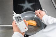 Testo Kablolu Problu Sıcaklık Ölçer | Testo 108