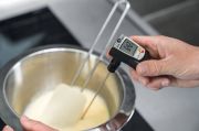Testo Saplama Problu Termometre | Testo 905-T1