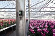 Testo Sıcaklık ve Nem Kayıt Cihazı Datalogger | Testo 175 H1