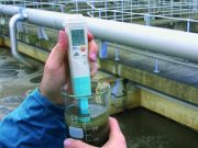Testo pH ve Sıcaklık Ölçüm Cihazı Çantalı Set | Testo 206