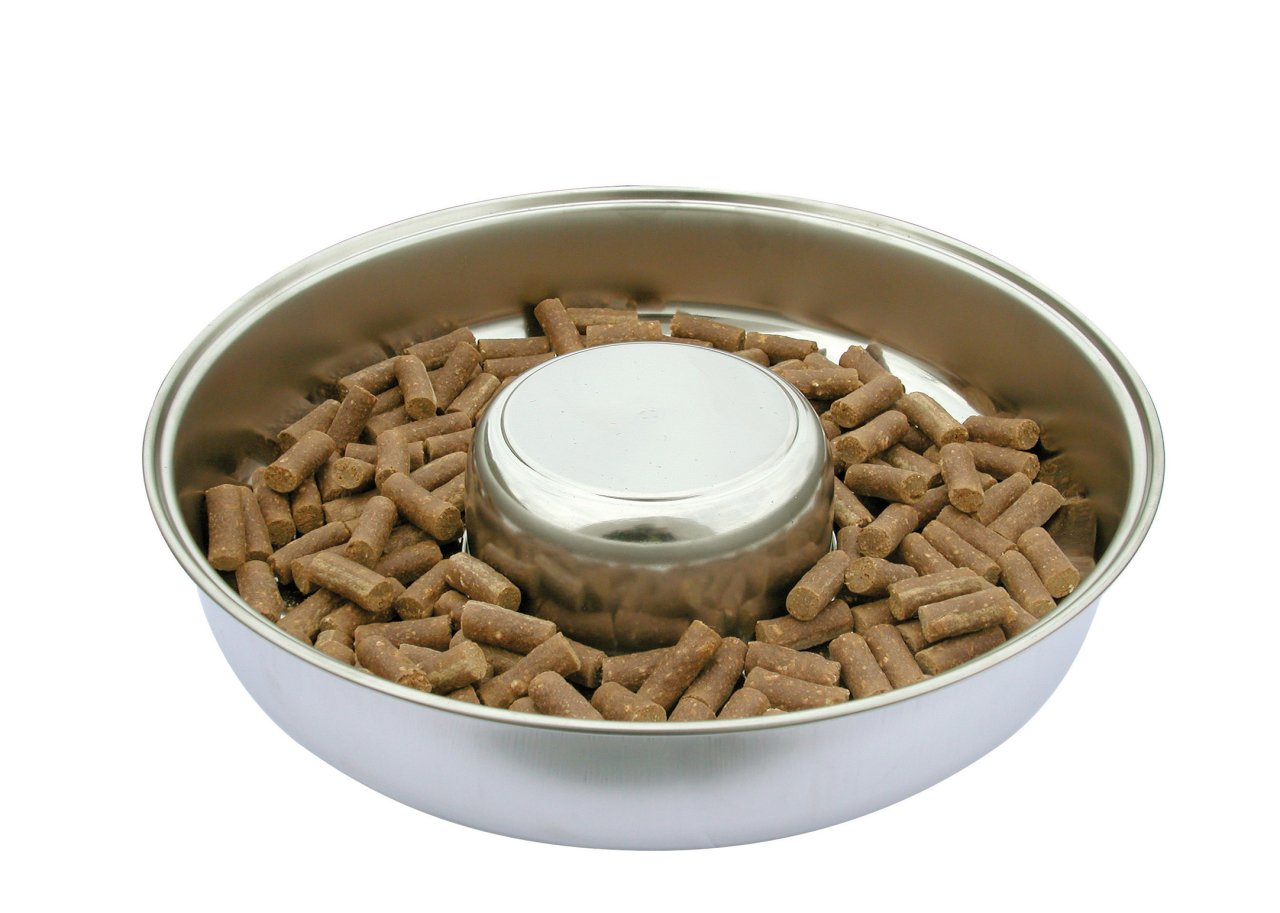 Puppy Feeding Dish 29cm