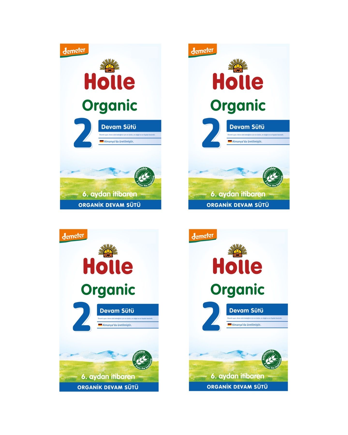 Holle Organik Devam Sütü 2 600 gr 4 Adet