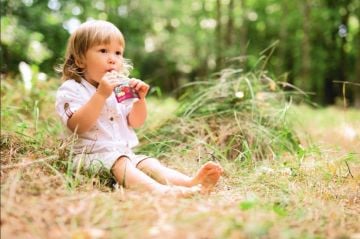 HOLLE ORGANİK ZEBRA BEET 6'LI