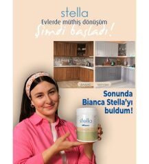 Bianca Stella Su Bazlı Saf Akrilik Boya 1 Lt Ral 7016 Antrasit Gri