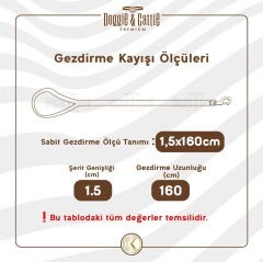 Doggie Konfor Dokuma Gezdirme Kayışı Kırmızı 1.5*160 Cm (DGZT-15)