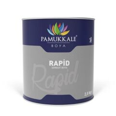 Pamukkale 1402 Rapid Boya 2.5 Kg Beyaz Ral 9016