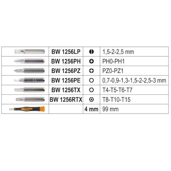 Beta Mikro Bits Uç Seti BW 1256/C21-1