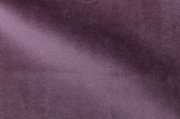 DG 53 PURPLE