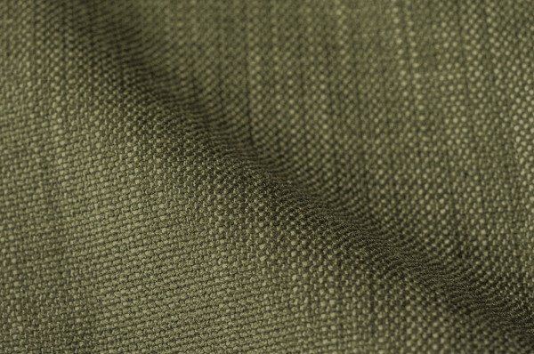 PICCADILLY 634 OLIVE